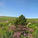 Hillside * Pécs