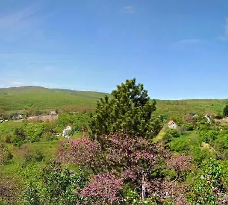 Hillside * Πετς